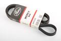 Alfa Romeo linea Auxiliary Belt. Part Number 55202621