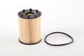 Fiat 124 Oil Filter. Part Number 6000633302