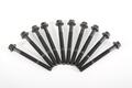 Alfa Romeo Grande Punto Head bolts. Part Number 7696197